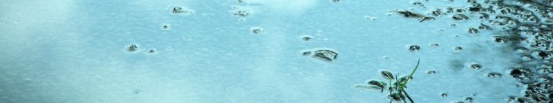 Environmental legislations