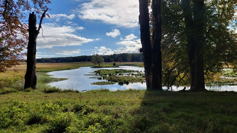 Nature based solutions on water retention