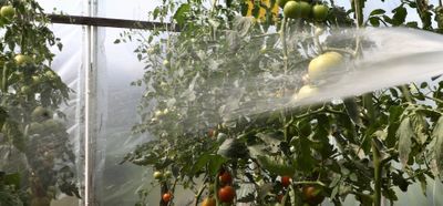 Water Reuse Regulation (2020/74/EU)
