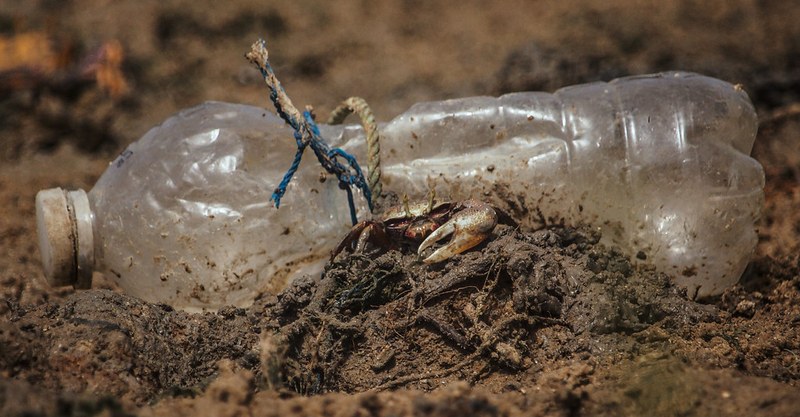 Marine Litter Watch