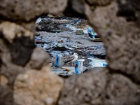 Marine Litter Watch Web Report