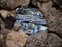 Marine Litter Watch Web Report